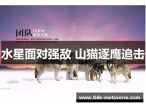 水星面对强敌 山猫逐鹰追击
